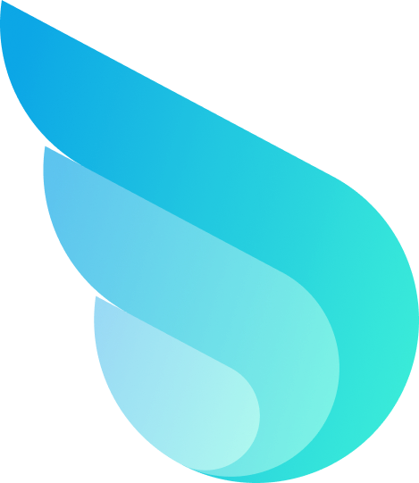 Wiredash
